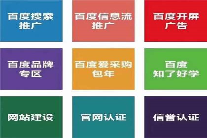 精准投放，高效转化——网站sem托管的胜利案例