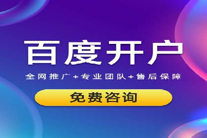 百度推广策略揭秘：某行业领头羊的成功经验